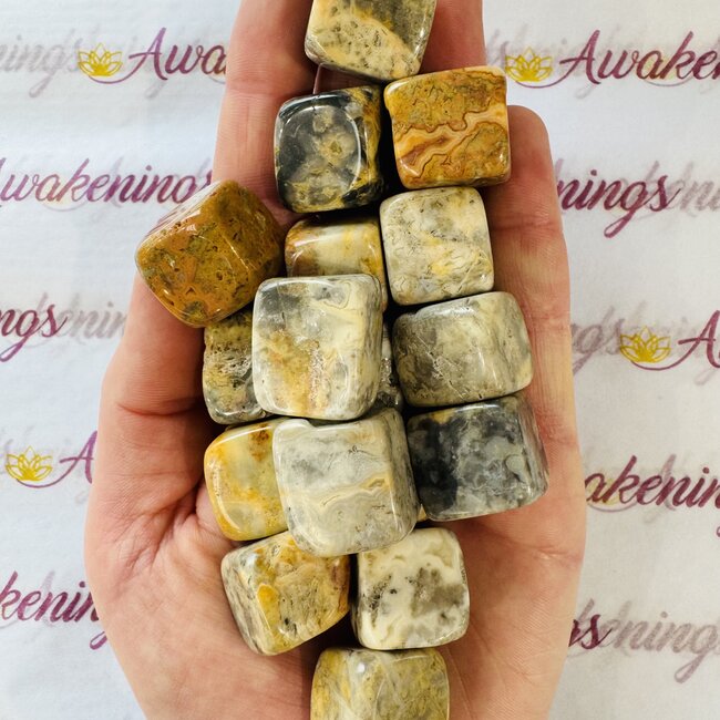 Crazy Lace Agate Cubes 1"
