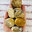 Crazy Lace Agate Palm Pillow Pocket Stone