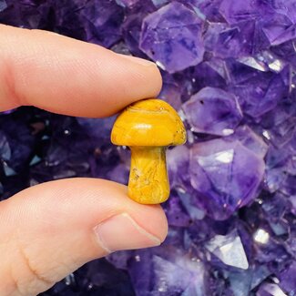 Crazy Lace Agate Mushrooms - Mini