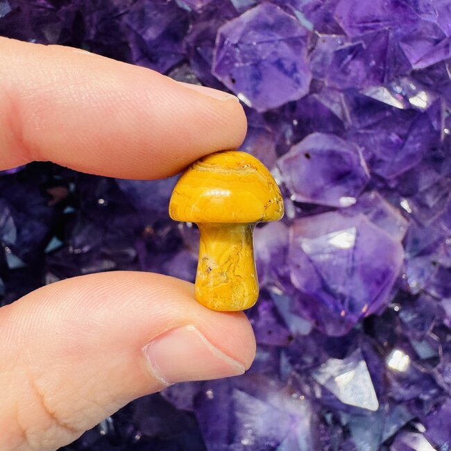 Crazy Lace Agate Mushrooms - Mini