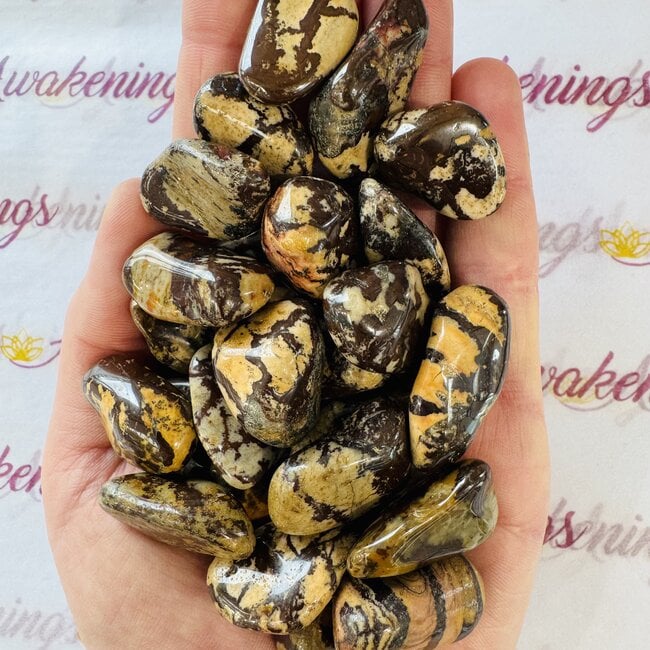 Nguni Jasper - Tumbled