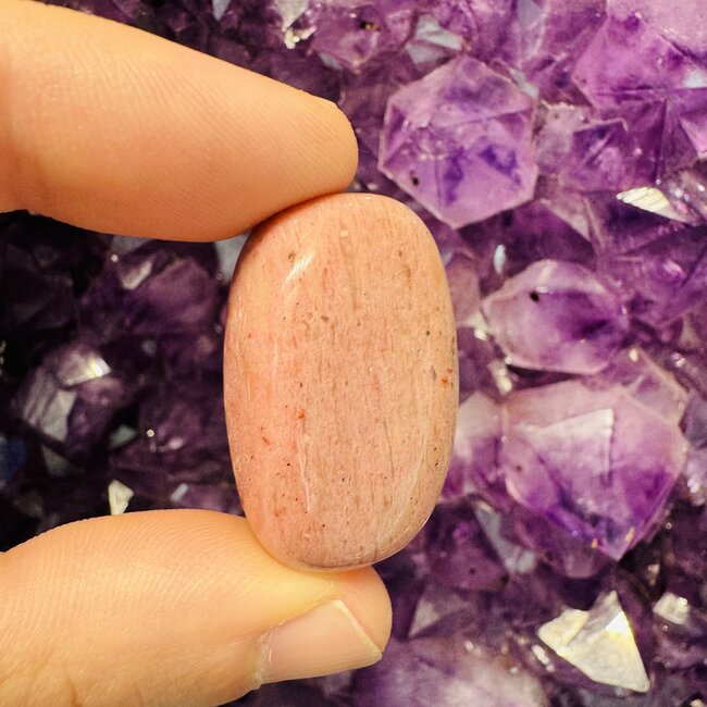 Pink Fossil Wood - Tumbled