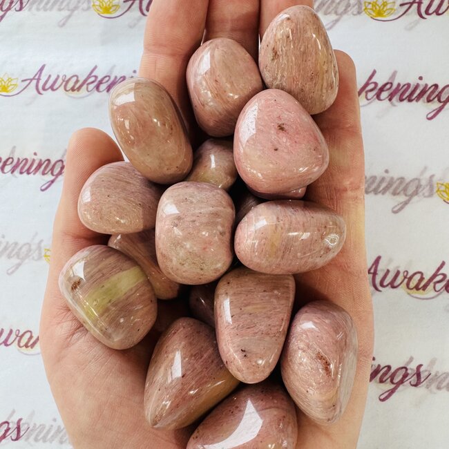 Pink Fossil Wood - Tumbled