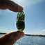 Moldavite Specimen - Rough Raw Natural 9.6 grams