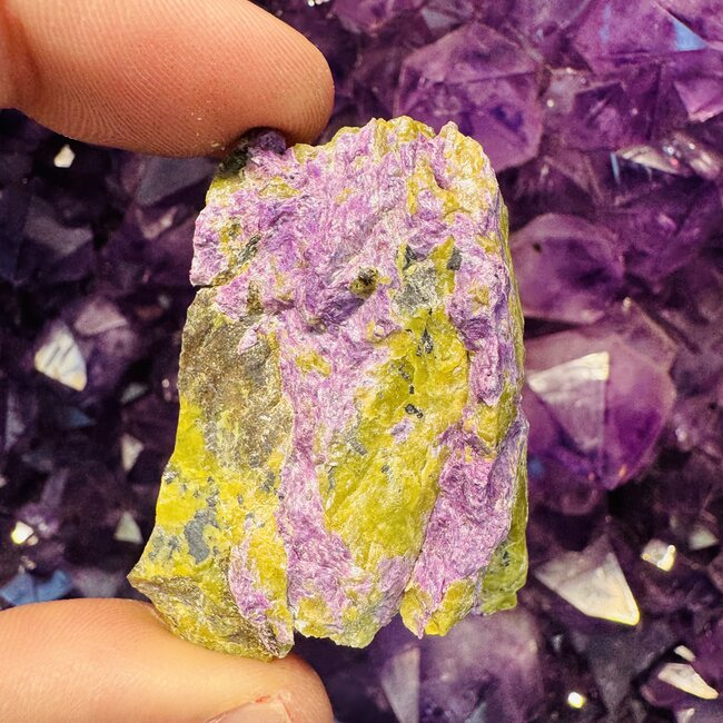 Stichtite in Serpentine (Atlantasite Atlantisite Tasmanite) - Rough Raw Natural