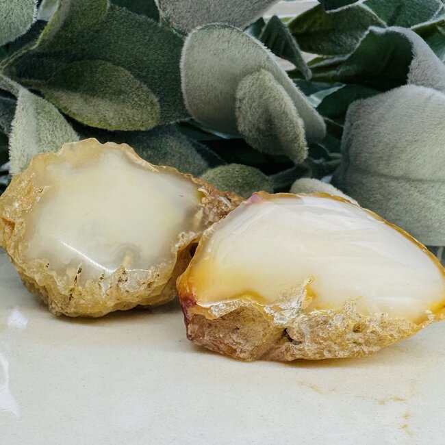 Enhydro Agate - Medium Rough Raw Natural