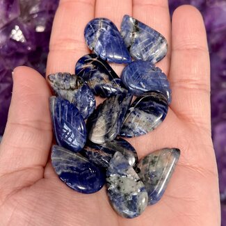 Sodalite Angel Wing - Mini 1" Carved