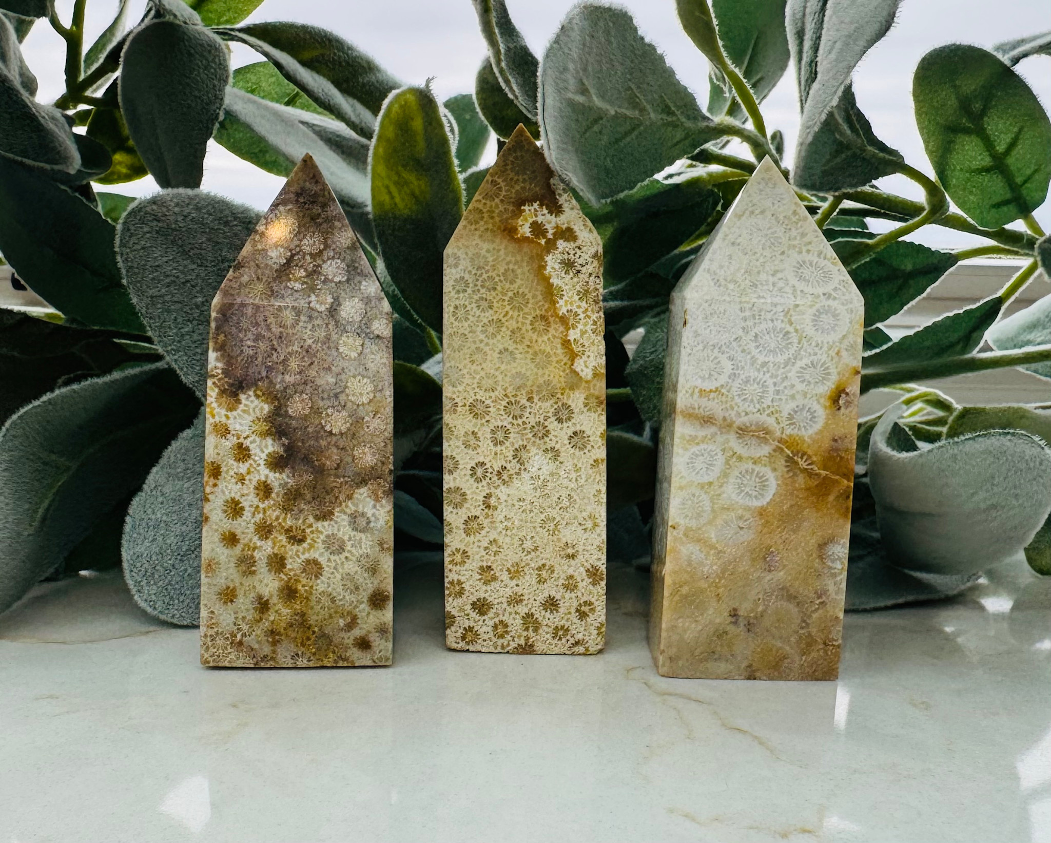 化石　A-3 coral-jade-fossilized-fossil-