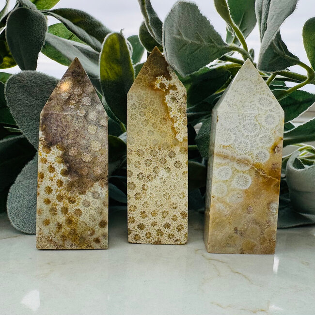 Coral Jade (Fossilized Fossil Actinocyathus Coral) Obelisks Towers Generator Points - Medium 3-5"