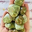 Chrysoprase Hearts  - Small