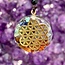 Flower of Life Orgonite Orgone Necklaces - Brown Braided Chain Gold Protection EMF 5G Geometric