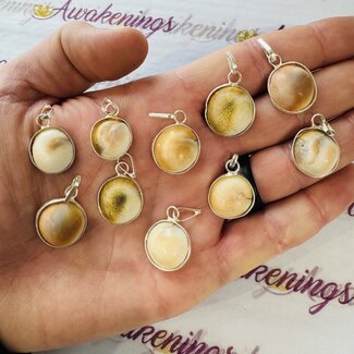 Shiva Eye Pendants - Silver Plated - Mermaids Money Pacific Cats Eye