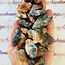 Sunstone Iolite - Rough Raw Natural