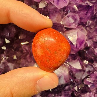 Red Coral - Tumbled
