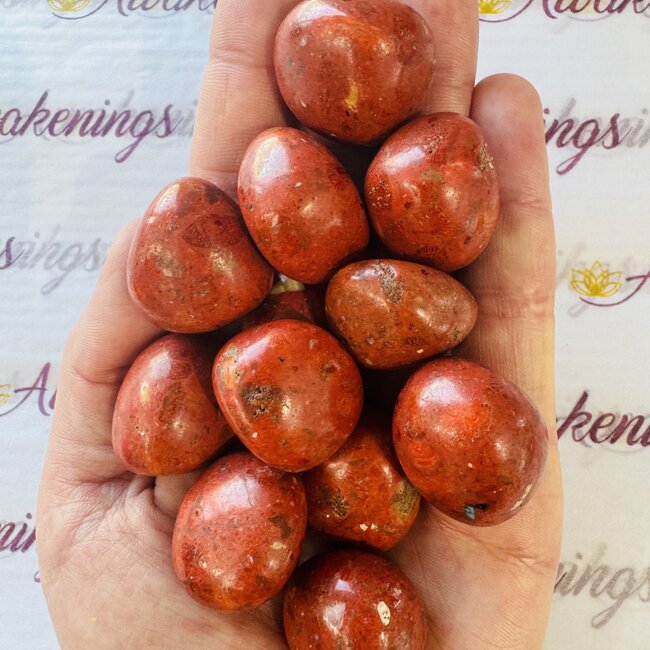 Red Coral - Tumbled