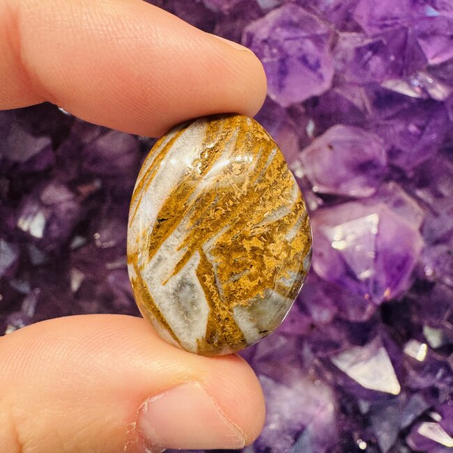 Goethite (Limonite) in Quartz - Tumbled