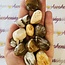 Goethite in Quartz - Tumbled