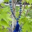 Shattuckite Japa Malas - Prayer Meditation Mantra Counting Beads - 8mm