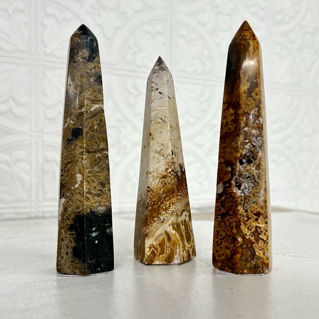 Palm Root Fossil Obelisks Towers Generator Points - Medium 4-5"