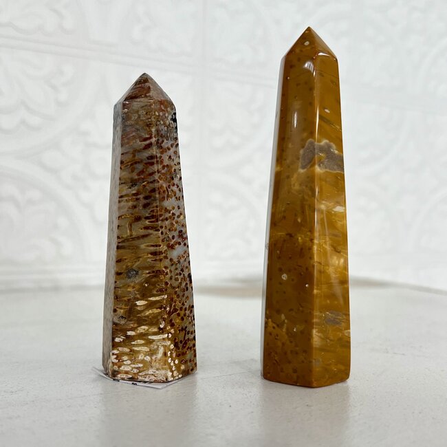 Palm Root Fossil Obelisks Towers Generator Points - Small 3-4"