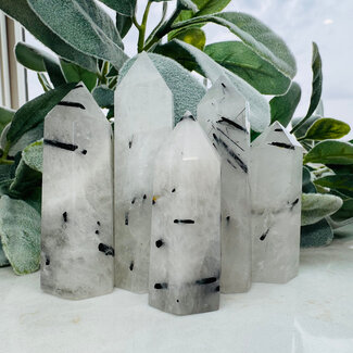 Black Tourmaline in Clear Quartz (Tourmalated Tourmalinated Rutilated Quartz) Generator Tower Point - Medium (2-3")