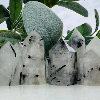 Black Tourmaline in Clear Quartz (Tourmalated Tourmalinated Rutilated Quartz) Generator Tower Point - Small (1-2")