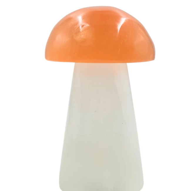 Selenite (Satin Spar Gypsum) Mushroom with Orange Top Lamp Light - 6"  (Cord & Bulb Included)