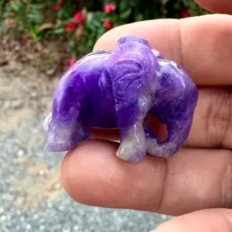Hackmanite Elephant Carving (High Grade)