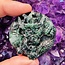 Green and Black Jadeite Dragon Carving - 291.50 carats