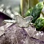 Rainbow Moonstone Rings - Size 7 Butterfly Bezel Set - Sterling Silver