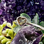 Labradorite Rings - Size 5 Heart Small - Bezel Set - Sterling Silver