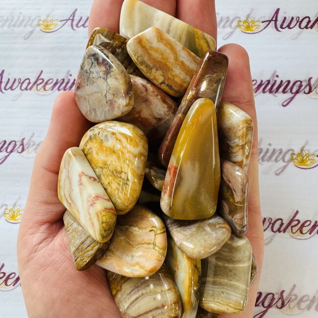 Fairburn Agate Slices Slabs