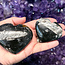 Black Orthoceras (Kuber Stone) Hearts - Medium (Fossil)