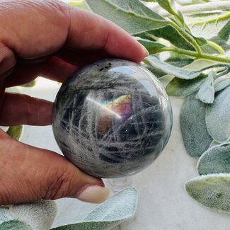 Blue Labradorite Spheres Orb - 50-55mm