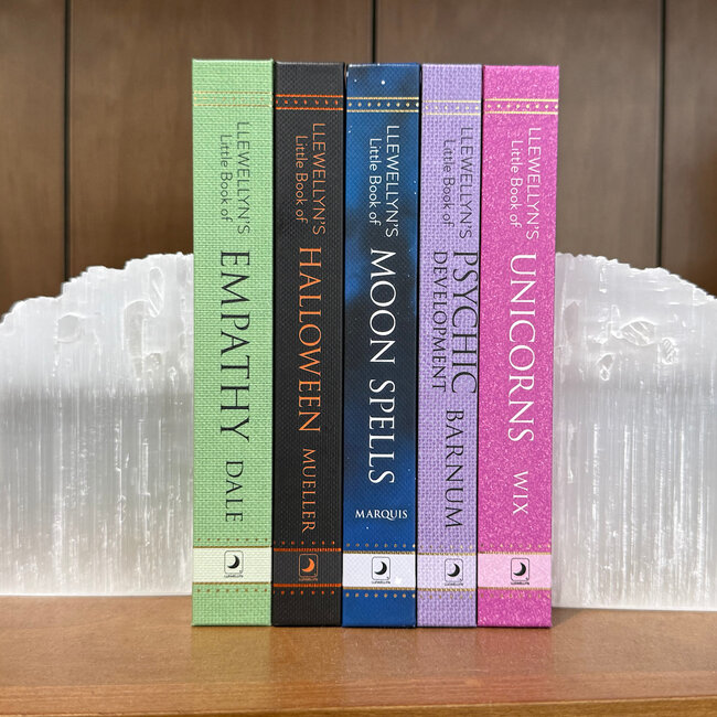 Selenite (Satin Spar Gypsum) Bookends Book Ends - Pair 4-5" Rough Raw Natural Sliced