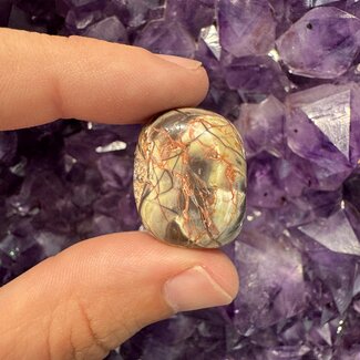 Money Agate - Tumbled