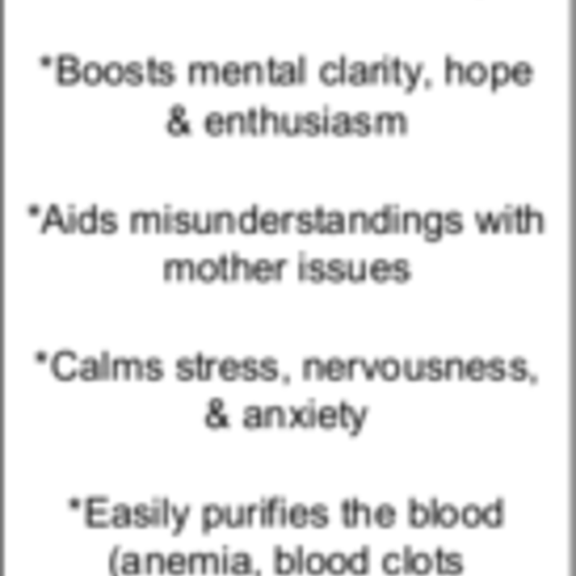 Red Chicken Bloodstone - Tumbled