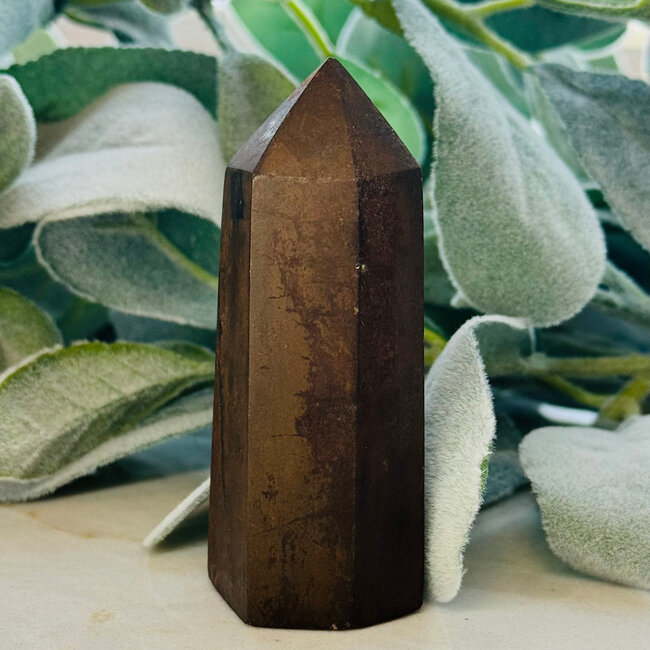 Bronzite (Unpolished) Tower Point Generator - Medium