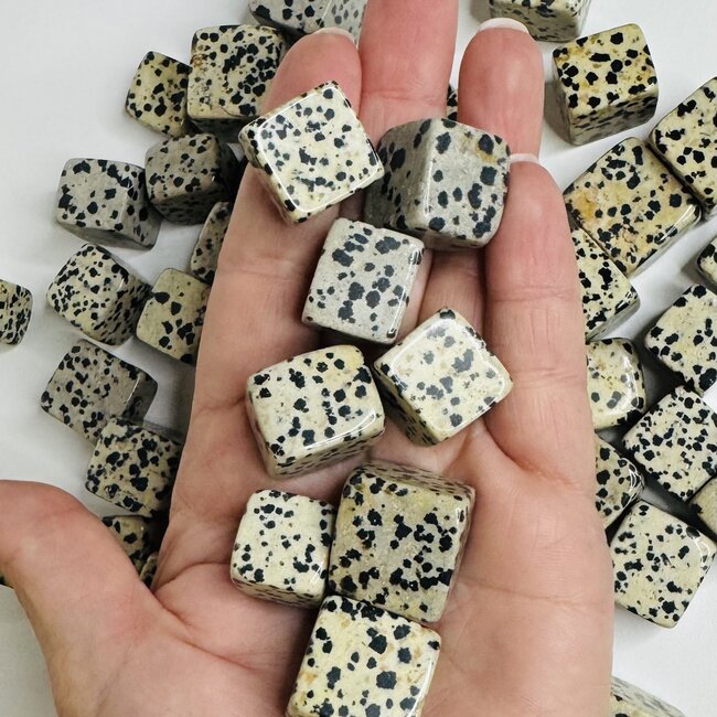 Dalmatian Jasper Cubes Blocks 1"