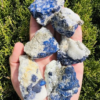 Lazulite Specimens - Medium Rough Raw Natural Lapis Lazuli