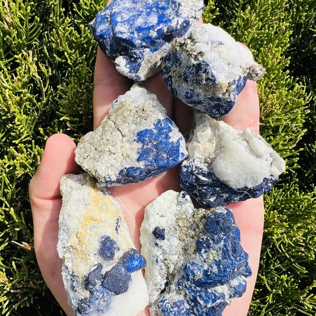 Lazulite Specimens - Medium Rough Raw Natural Lapis Lazuli