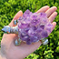 Amethyst Turtles - Druzy 4.5" Silver - Rough Raw Natural Carving