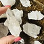 Clear (Crystal) Quartz Clusters - Medium (1.5-2") Rough Raw Natural