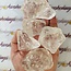 Satyaloka Azeztulite Quartz - Large Rough Raw Natural