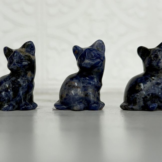Sodalite (Blue Spot) Cats Kitten Kitty - Medium 1.5" Carvings