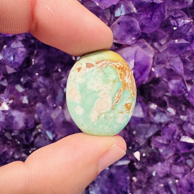 Variscite Mini Palms Pillow Pocket Stone