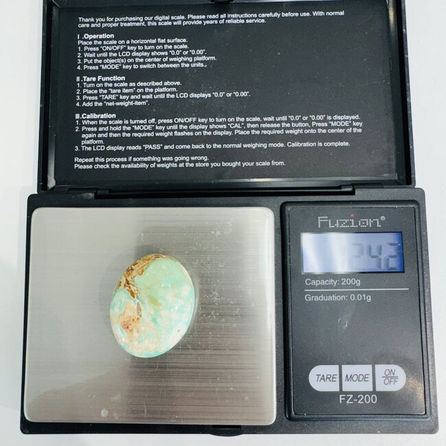 Variscite Mini Palms Pillow Pocket Stone