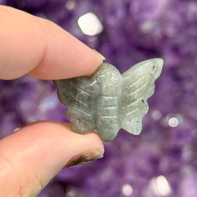 Labradorite Moth - Animal Carving Figurine 1.25"