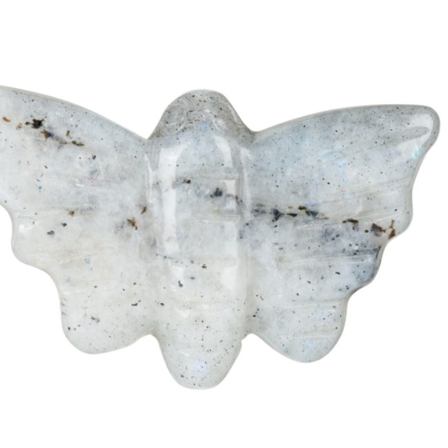 Labradorite Moth - Animal Carving Figurine 1.25"