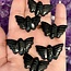 Black Obsidian Moth - Animal Carving Figurine 1.25"